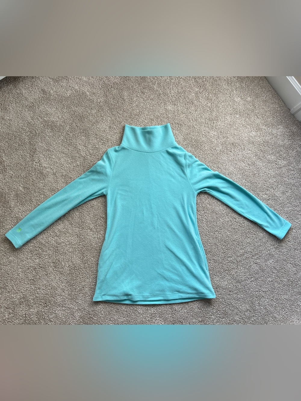 Dudley Stephens Cobble Hill tunic turtleneck in Mint terry fleece
